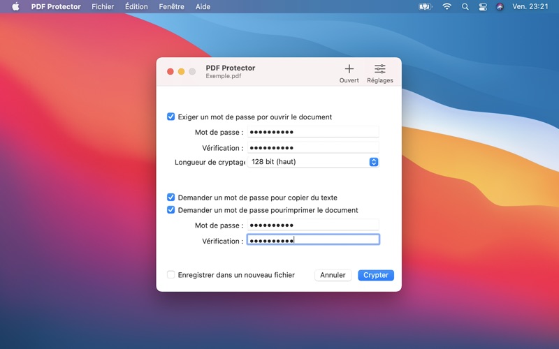 Screenshot #2 pour PDF Protector