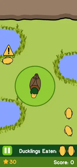 Game screenshot Duckling Mania mod apk