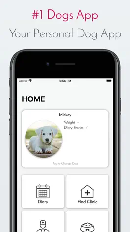 Game screenshot My Dog App - Care my Dog mod apk