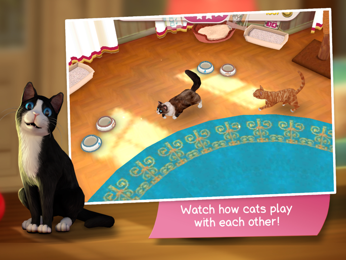 CatHotel - Play with Cute Cats