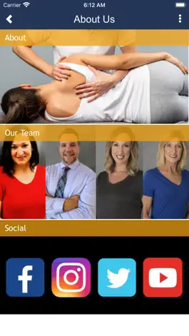 Game screenshot Countryside Chiropractic hack