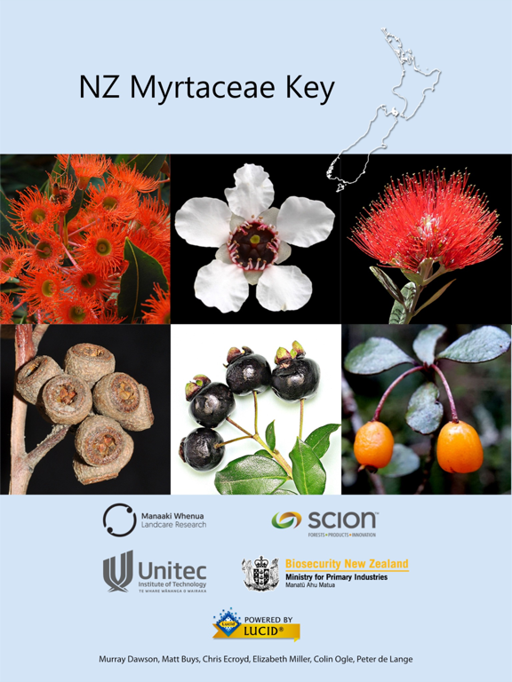 Screenshot #4 pour NZ Myrtaceae Key