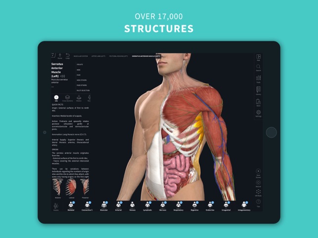 Complete Anatomy 2021(圖2)-速報App