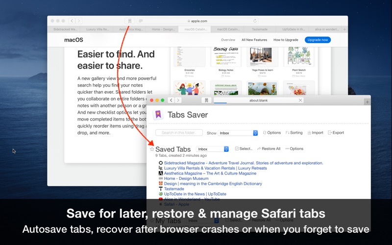 How to cancel & delete tabs saver for safari 2