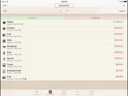 spending tracker ipad images 2