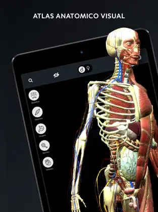 Captura de Pantalla 1 Anatomia 3D - El Cuerpo Humano iphone