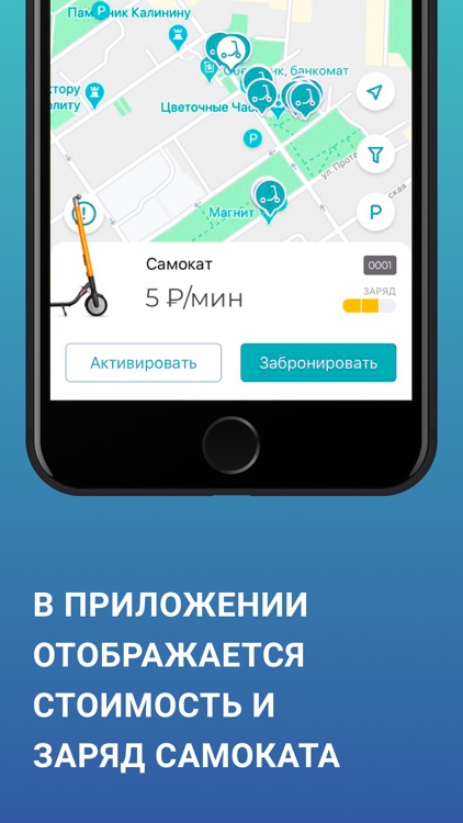 Seagull - ride with pleasure