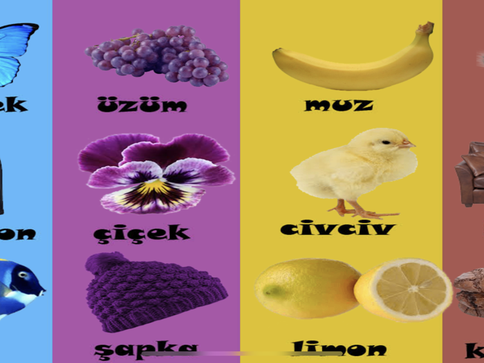 Renkler Şekiller Sayılar