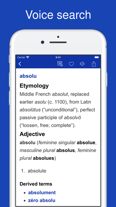 Dictionary of French Language Screenshot