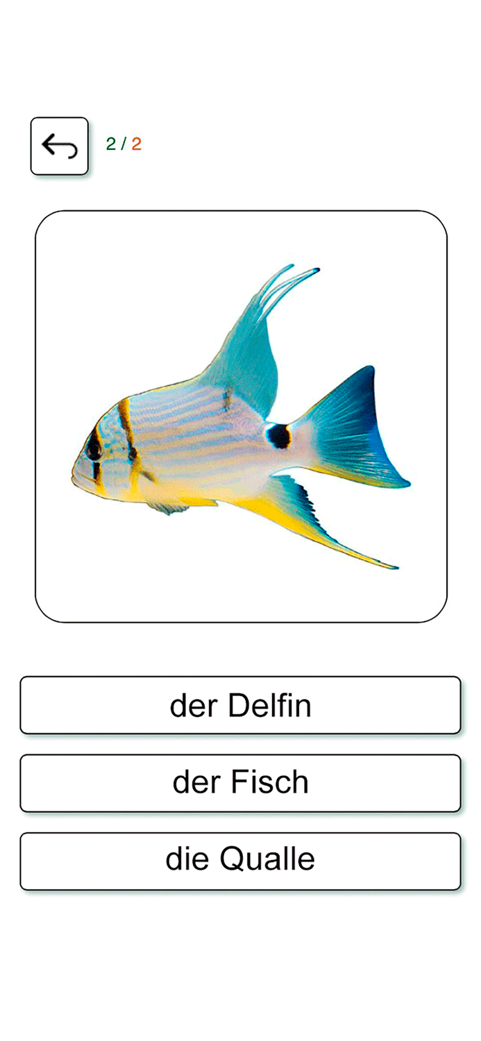 Learn and play German 