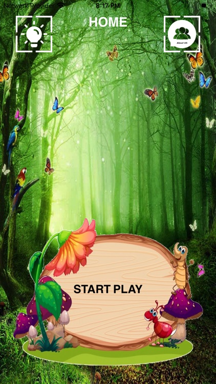 Correct Match Insect