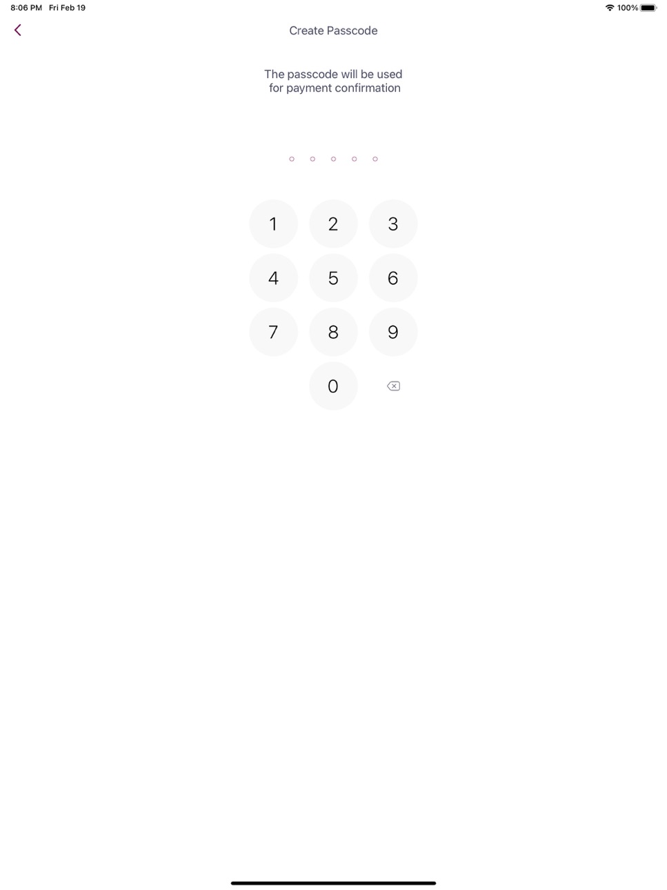 iPad screenshot
