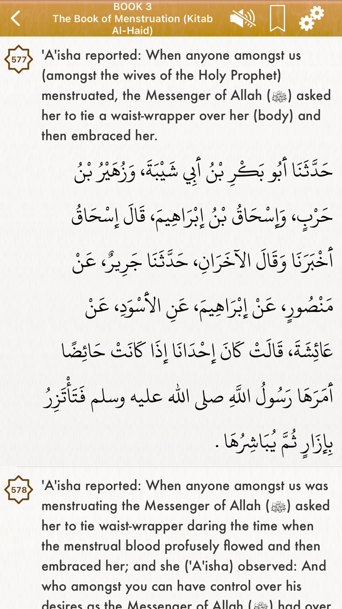 Sahih Muslim Audio English Pro