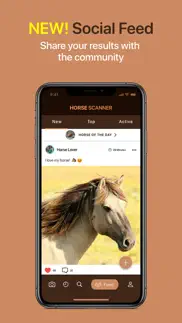 horse scanner iphone screenshot 4