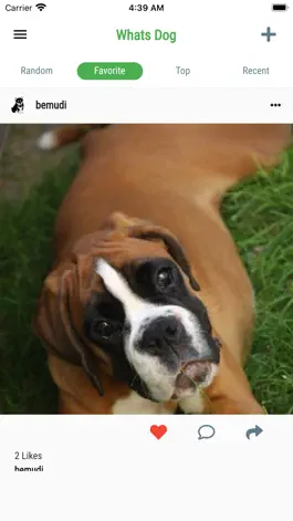 Game screenshot Whats Dog apk