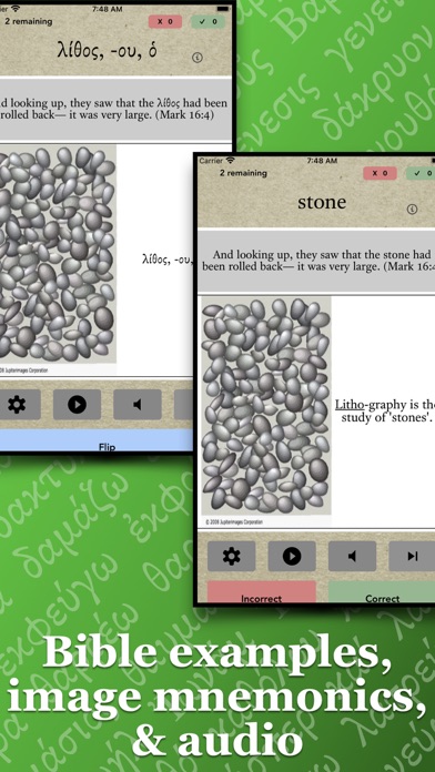 FlashGreek PRO - HD Flashcards Screenshot