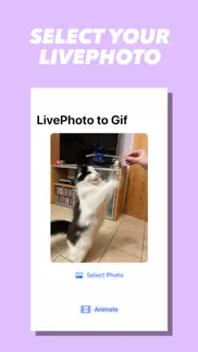 livephoto animation share problems & solutions and troubleshooting guide - 3