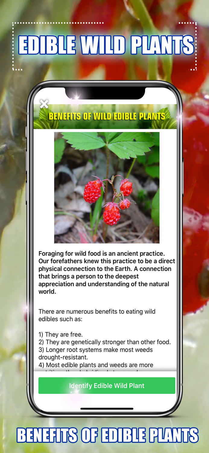 Edible Wild Plants