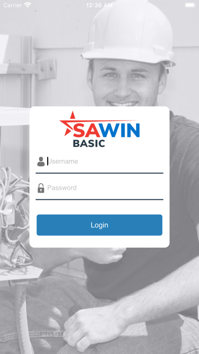 Sawin Basic screenshot 2