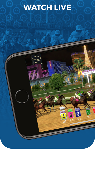 Winner's Circle Screenshot