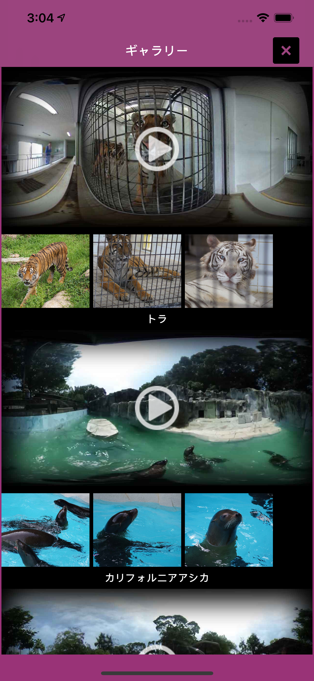 i 動物園 for とべ動物園