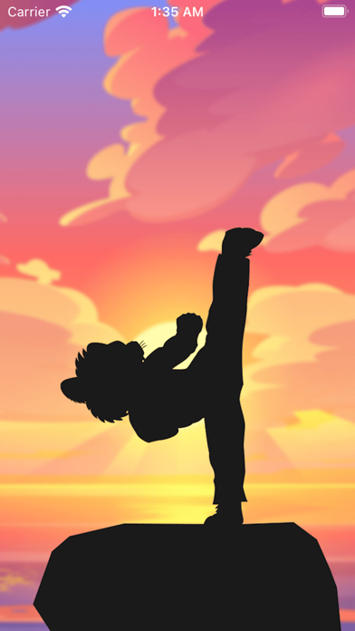 Taekwondo Superhero Screenshot
