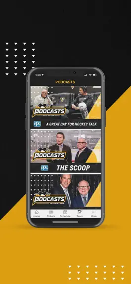 Game screenshot Pittsburgh Penguins hack