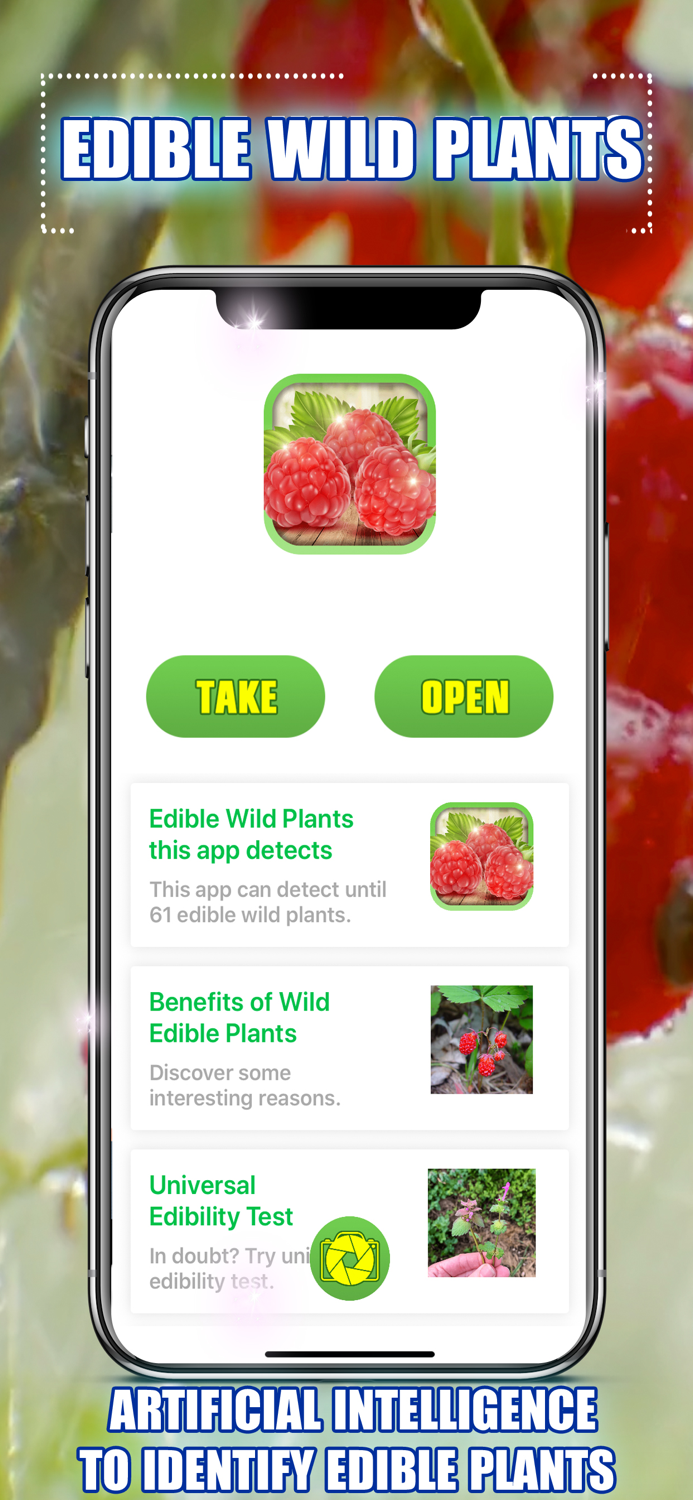 Edible Wild Plants