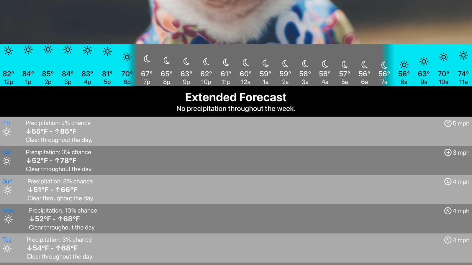 Sunkitty apple_tv screenshot 2