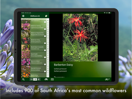 Screenshot #6 pour Wildflowers of South Africa