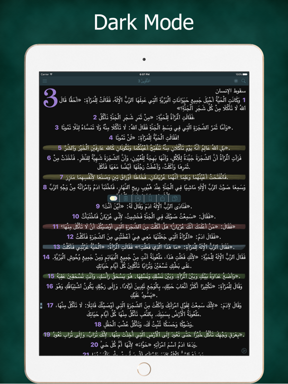 Screenshot #6 pour Arabic Audio Bible Scripture