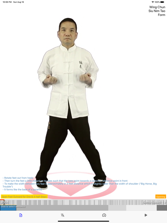 Screenshot #5 pour Wing Chun Siu Nim Tau Form