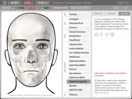 Game screenshot ARTNATOMYA (in english) apk