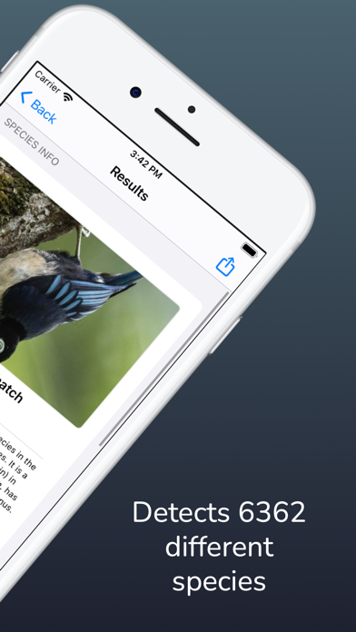 Bird Sound Identifier Screenshot