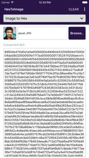 hextoimage converter iphone screenshot 3