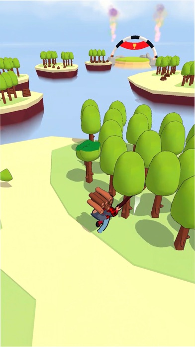 Island Race Screenshot