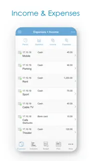 budget expense tracker/manager iphone screenshot 2