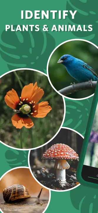 Seek by iNaturalist: Screenshot 1 von 6