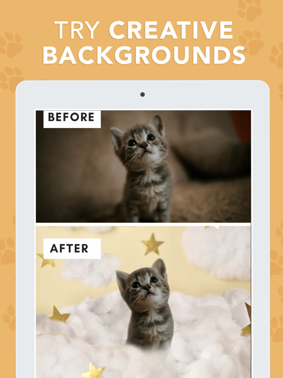 Pounce - Pet Photo Editor screenshot 3