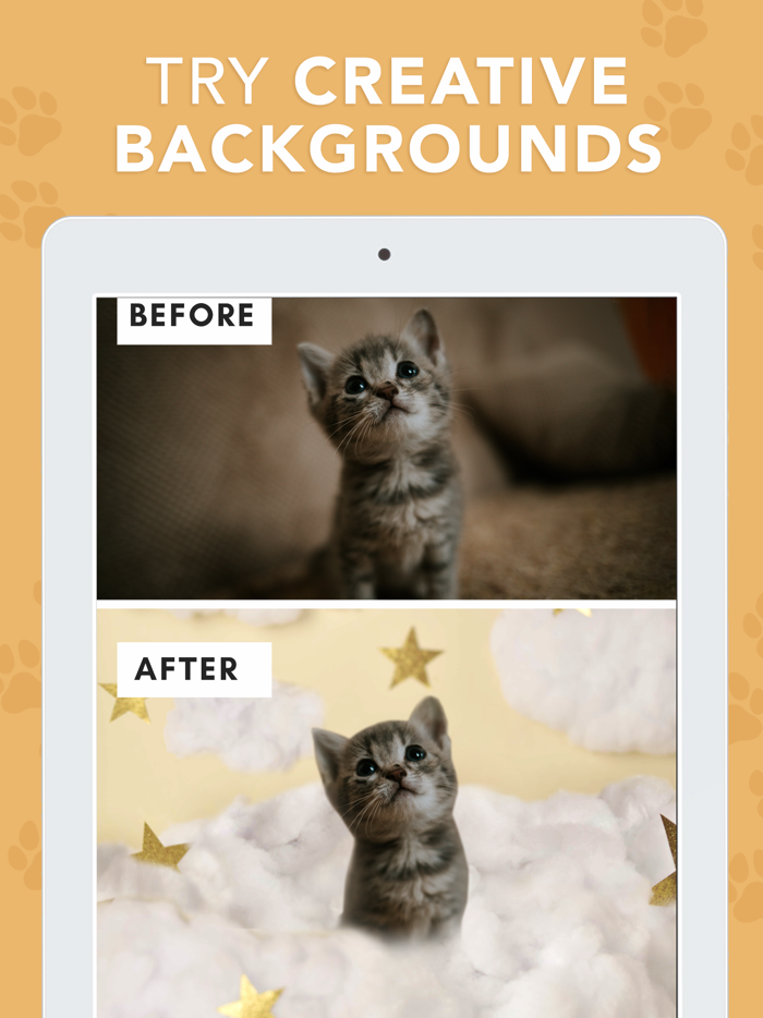 Pounce - Pet Photo Editor