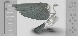 3D Bird Anatomy screenshot #8 for iPhone