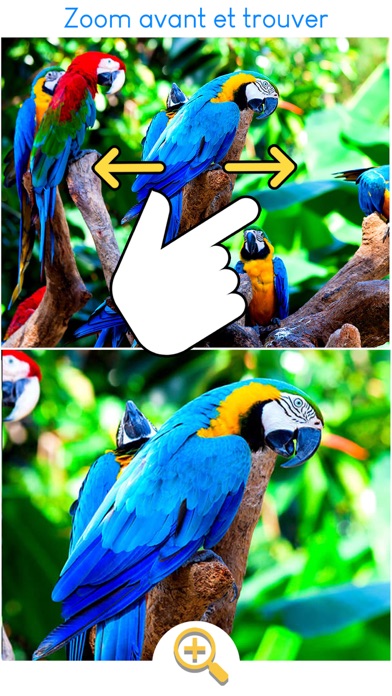 Screenshot #3 pour Differences : Jeu des erreurs