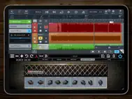 Voice DC30 Custom Valve ipad bilder 0