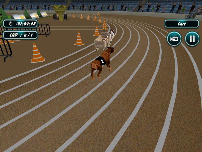 Dog Racing