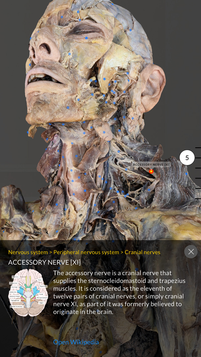 Dissection Master XR