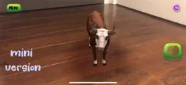 Game screenshot PettingZoo - AR hack