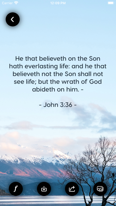 Bible - Daily Verse + Widget Screenshot