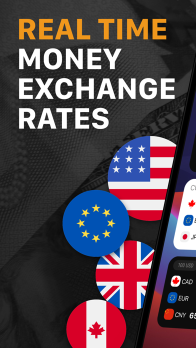 Currency Exchange Rate Calc Screenshot