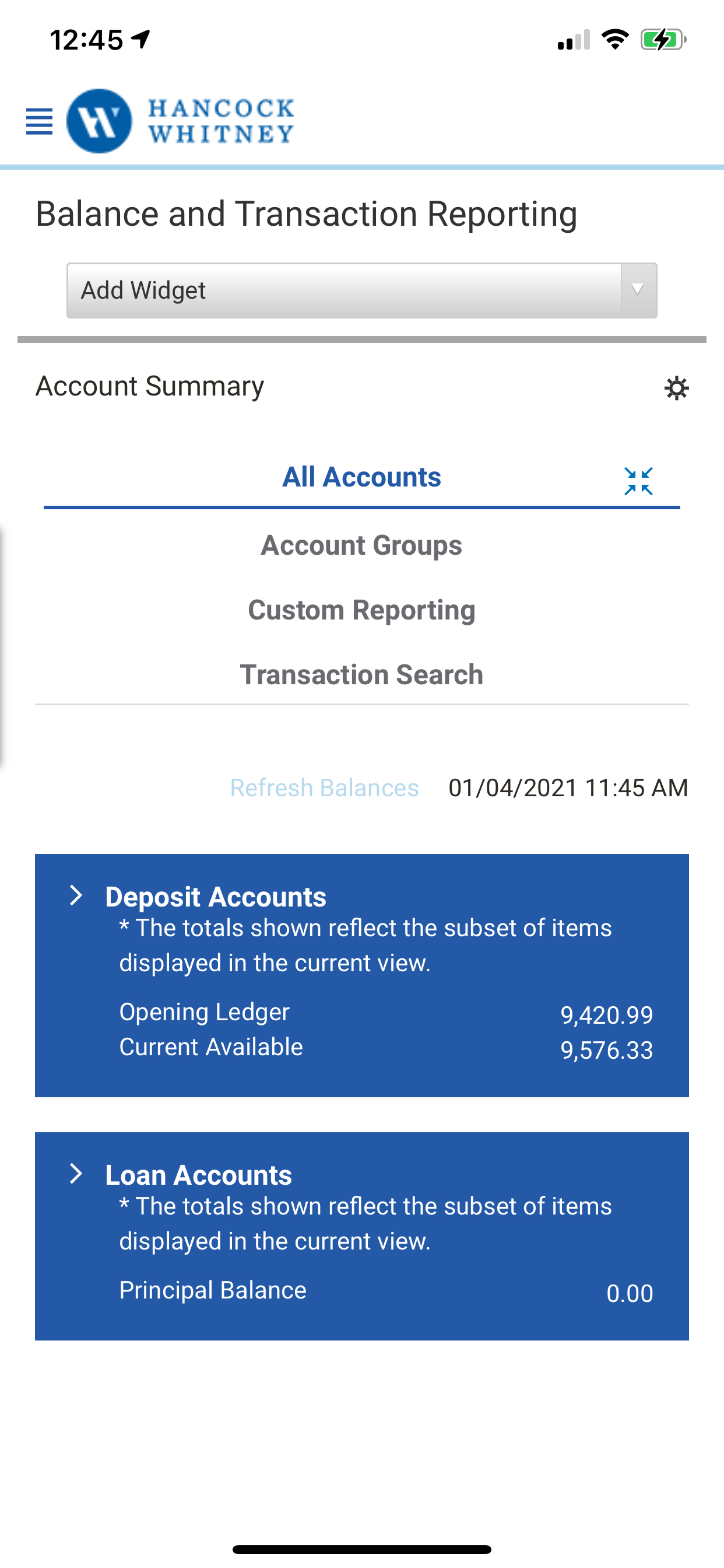 Treasury Manager screenshot 4