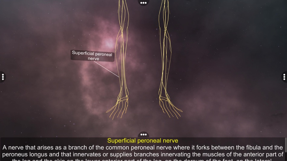 #4. Human Nervous system (iOS) 由: VIRTUAL FILAMENTS PRIVATE LIMITED